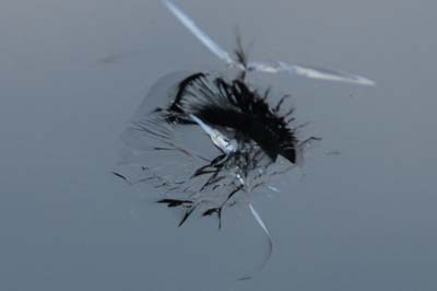 Windshield stone chip repair in Newark